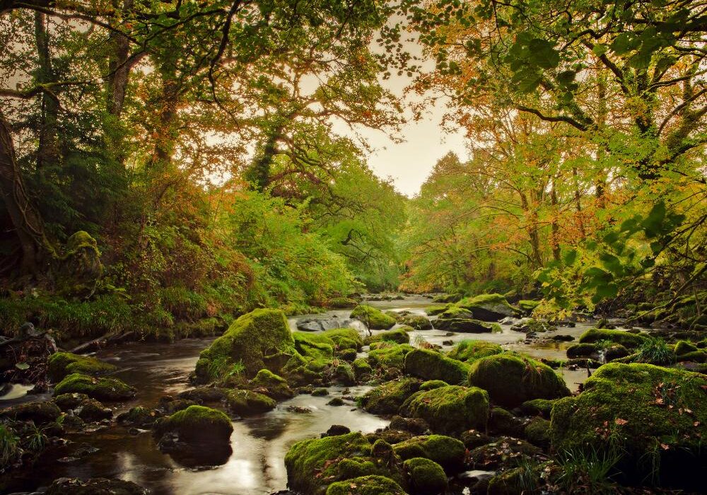 Betws-y-Coed