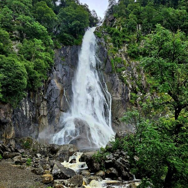 IMG-20240711-WA0020